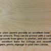 Natural Line<sup>®</sup> 1/8" Baltic Birch - Image 2